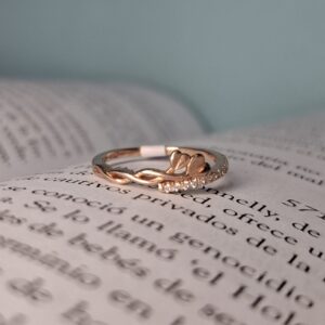 Anillo Plata Rose 2 Corazones
