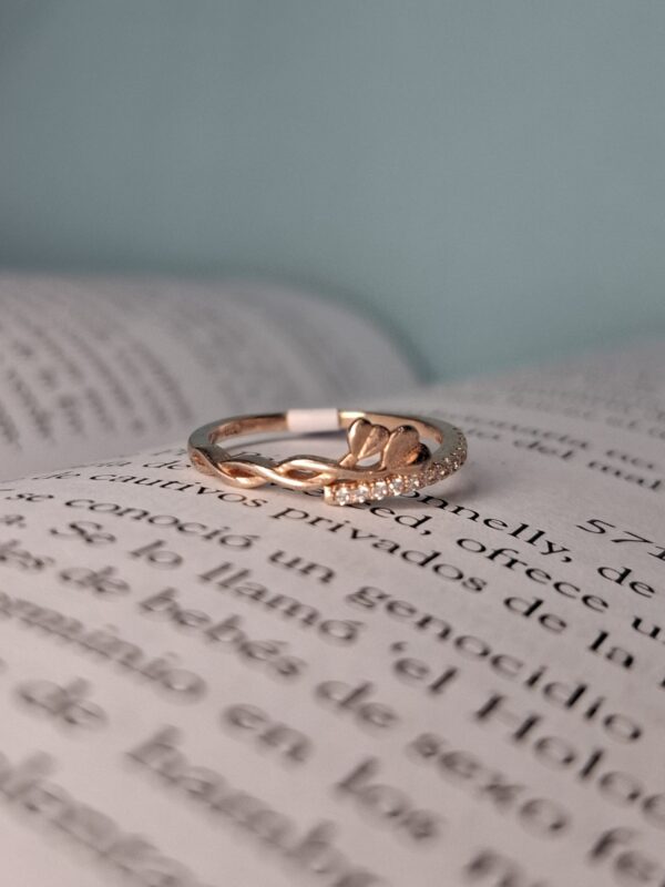 Anillo Plata Rose 2 Corazones