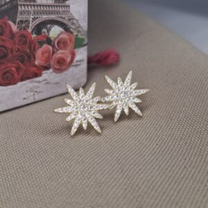 Aros Plata Dore Destello Cubic 13317
