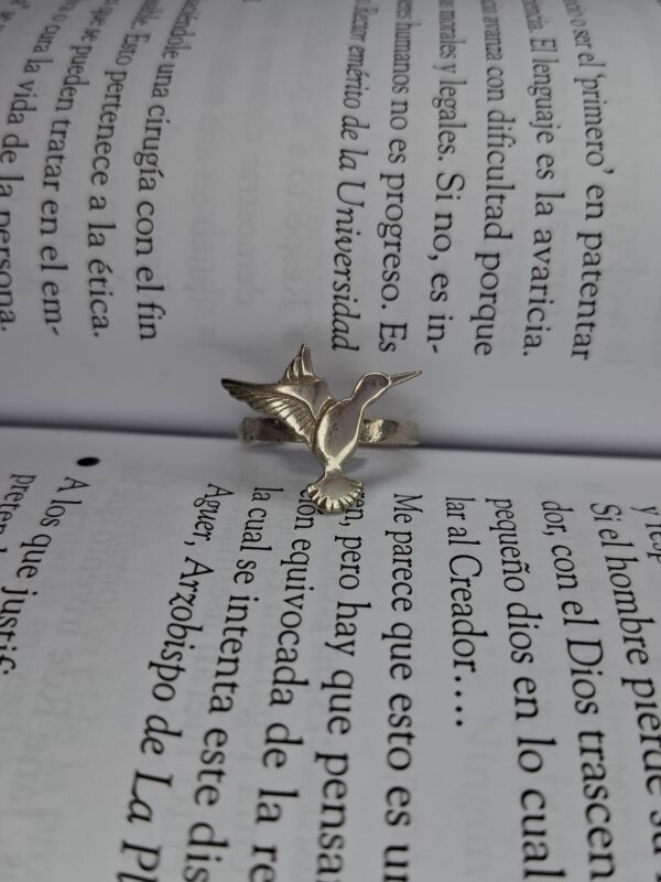Anillo Colibrí Liso 12315