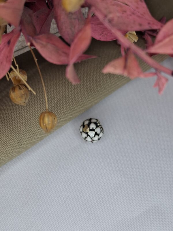 Charms Varios Pandora