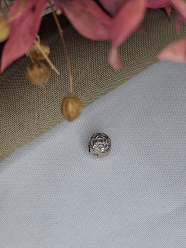 Charms Varios Pandora - Image 2