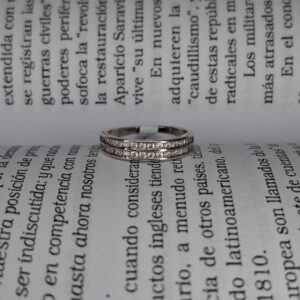 Anillo Doble Linea Cubic 13564